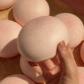 Daifuku Mochi Squishy Stress Relief Toy
